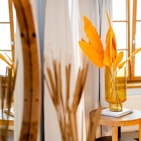 City Apartment In Der Bregenzer Innenstadt エクステリア 写真